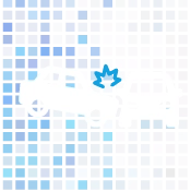 car accident icon